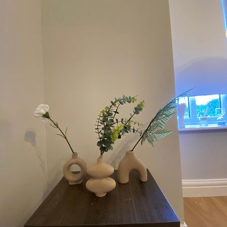 Extra Large Room In New House At Citywest Dublín Exterior foto